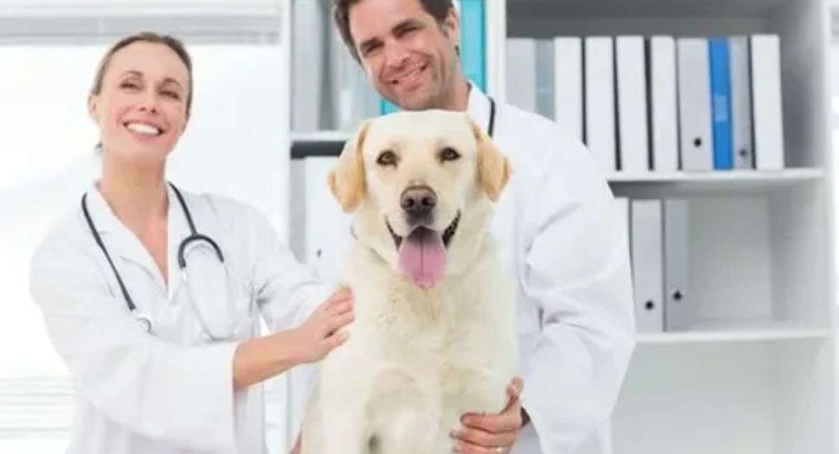 happy vet tech week