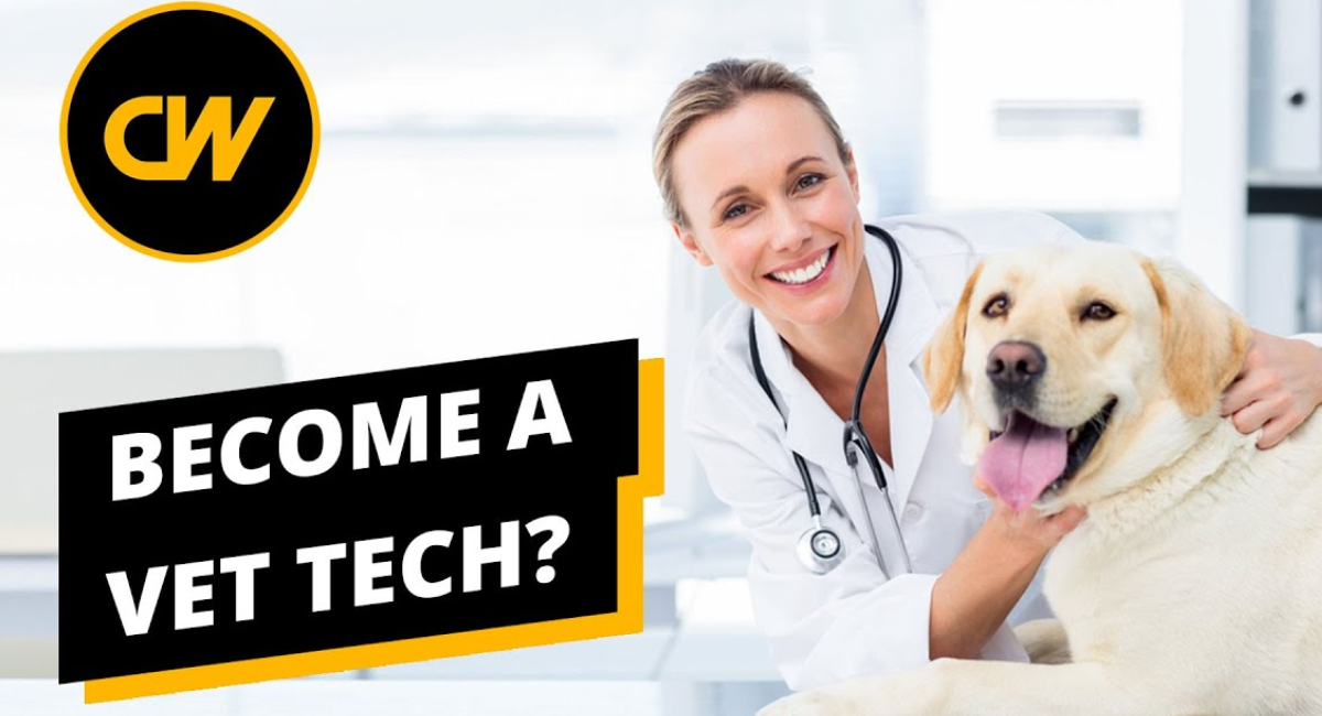 free vet tech ce